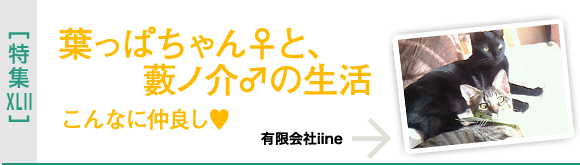 [特集XLII]葉っぱちゃん♀と、藪ノ介♂の生活